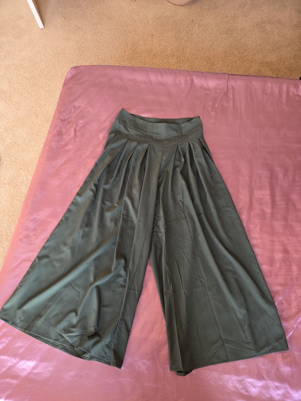 Women's Wide Leg Pleated Culotte Pants in Green - Size L